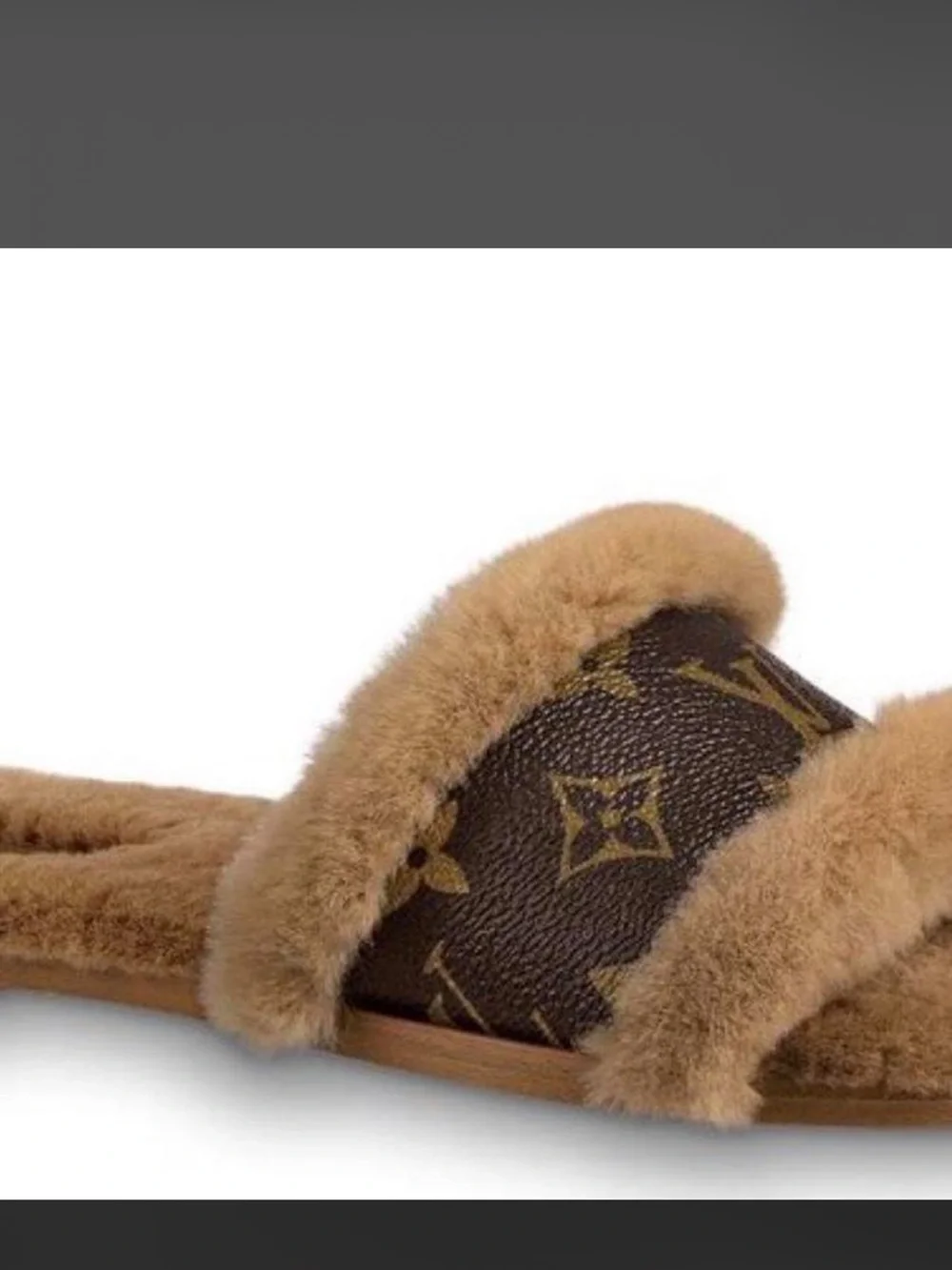 Louis Vuitton monogram canvas